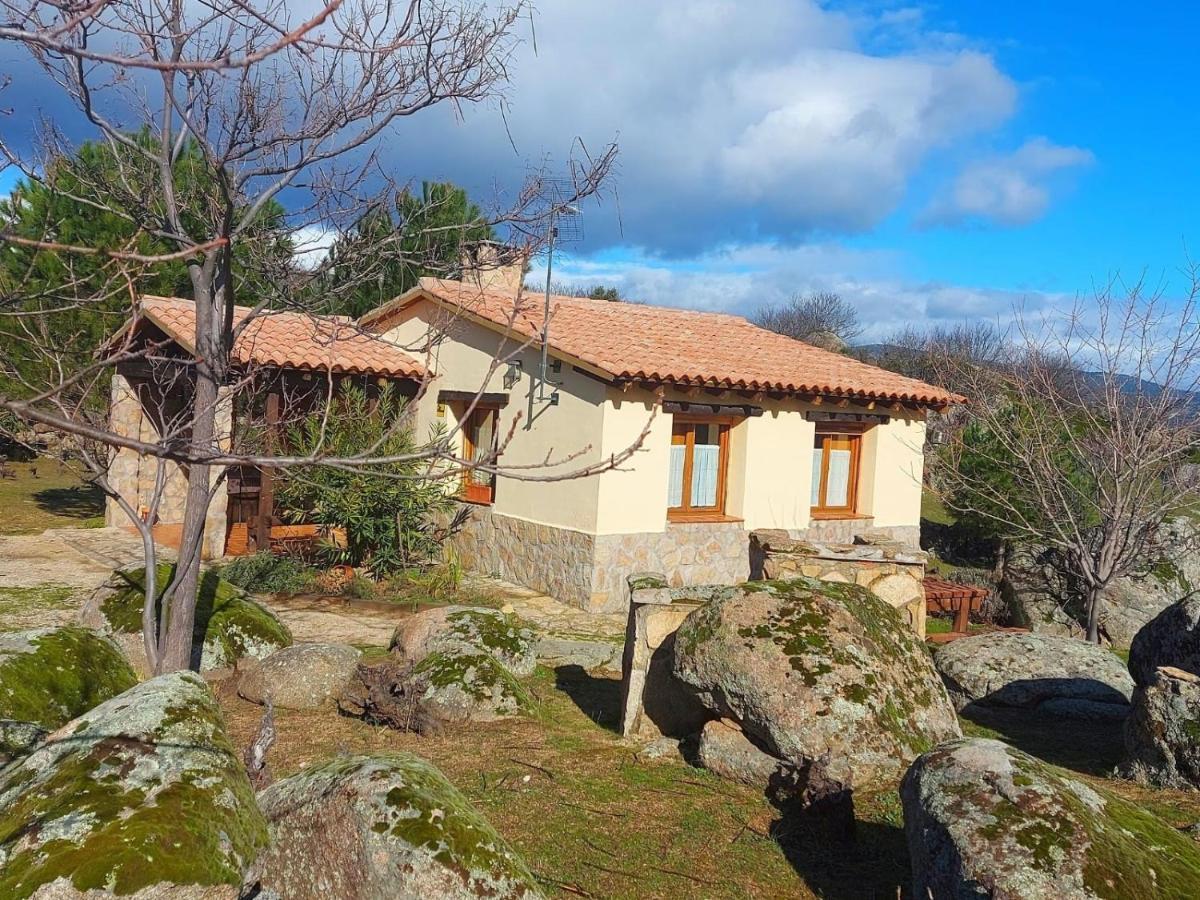 Amarilla * Ávila